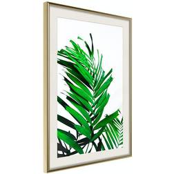 Arkiio Affisch Juicy Leaf [Poster] 30x45 Poster